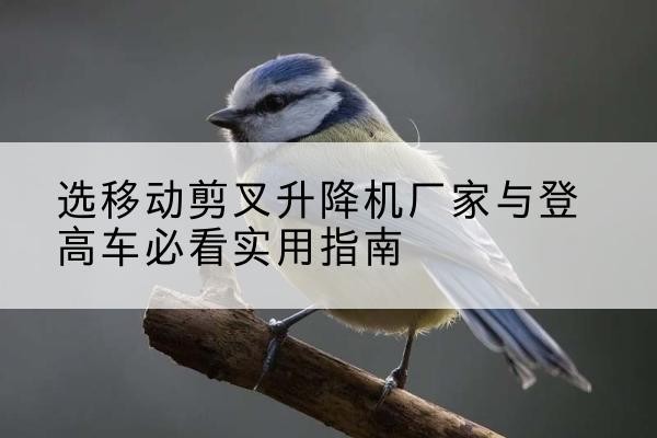 红桥区电动升降机厂家-选移动剪叉升降机厂家与登高车必看实用指南