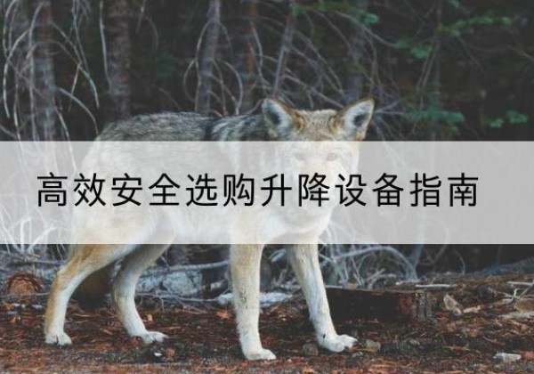 红桥区升降货梯厂家推荐-*安全选购升降设备指南